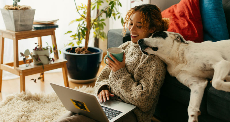 Young african american woman sitting on ground with dog on couch looking at laptop